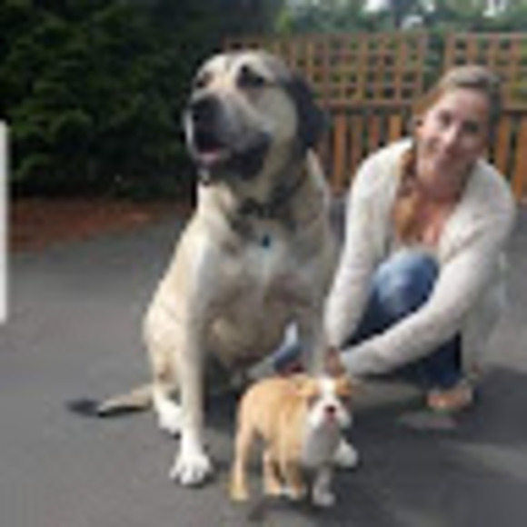 Meet your Posher, Judith - Picture 1 of 1